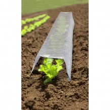 18339 - wire netting greenhouse tunnel cloche - in-situ